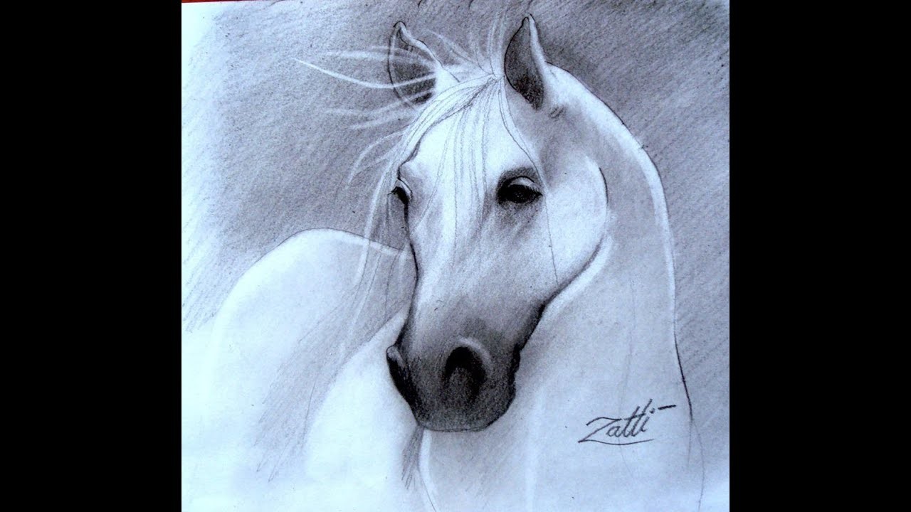 Desenhando um cavalo