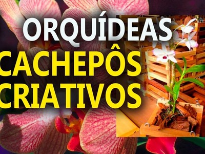 Dicas para Orquídeas conhece o Cachepô com Carlos Juber