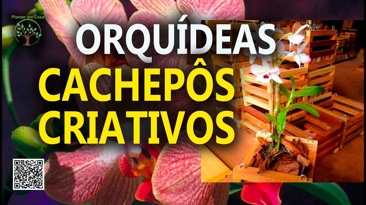 Dicas para Orquídeas conhece o Cachepô com Carlos Juber