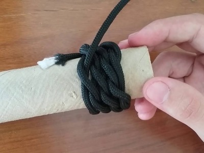 Charrua sem fim, escama de peixe