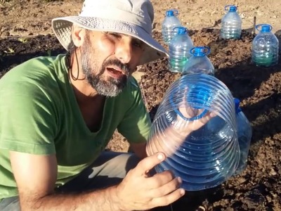 Irrigação de horta usando garrafas de PET e galão de 5 litros.