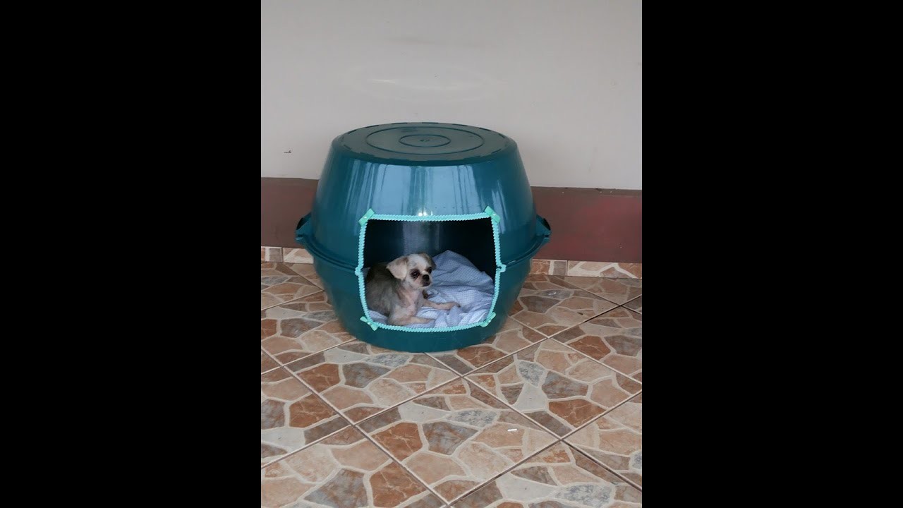 Casa de bacia para pets