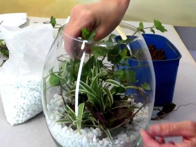 Como fazer um terrarium ( mini jardim) em vidro