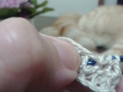 Crochê Tunisiano, Ponto tricô (05)