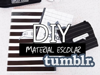 DIY -Material escolar tumblr:Caderno listras,"adidas",estojo,clips|Camyla lima