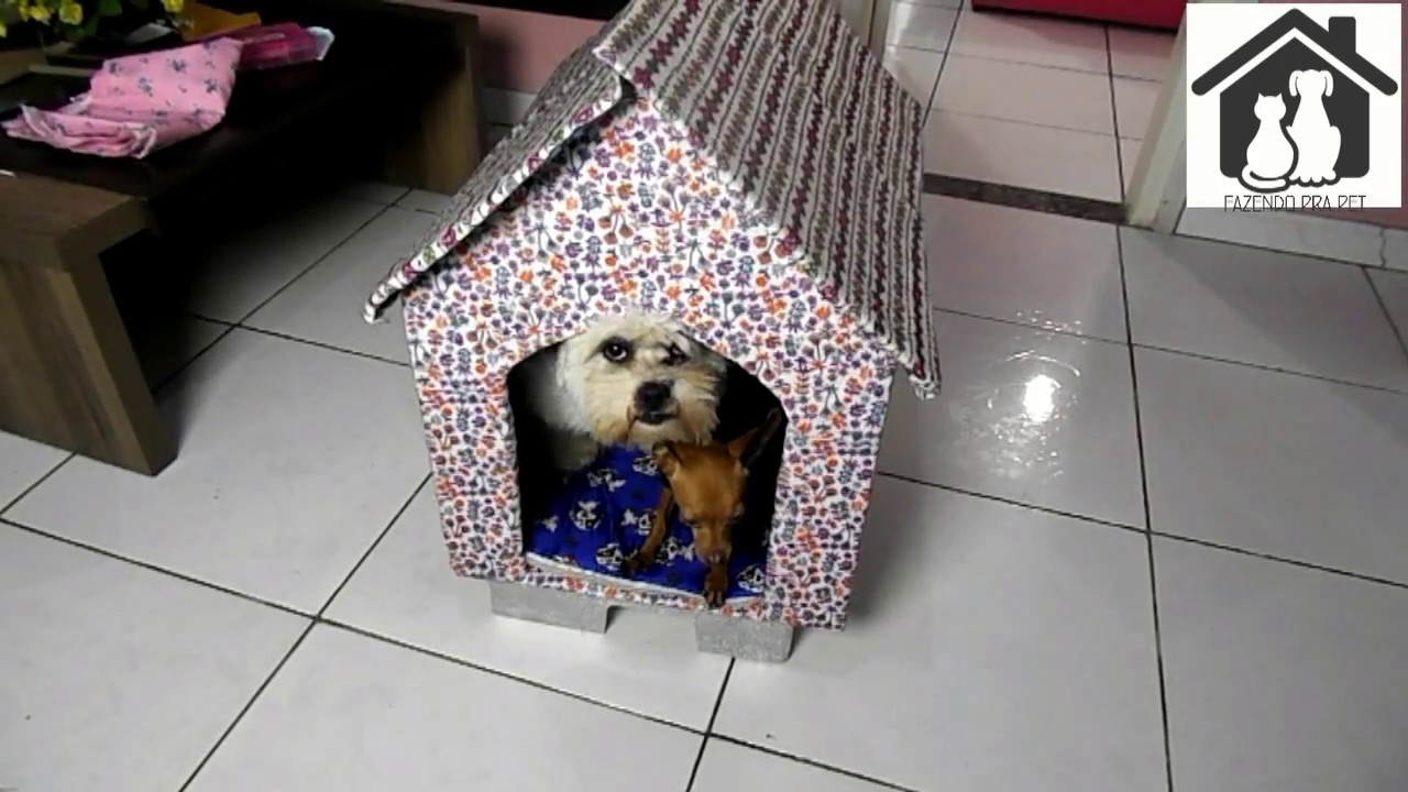 Como fazer uma casinha de cachorro com papelão - Facil de fazer