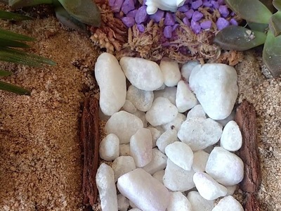 Terrário aberto: fruteira adaptada para decoração com suculentas