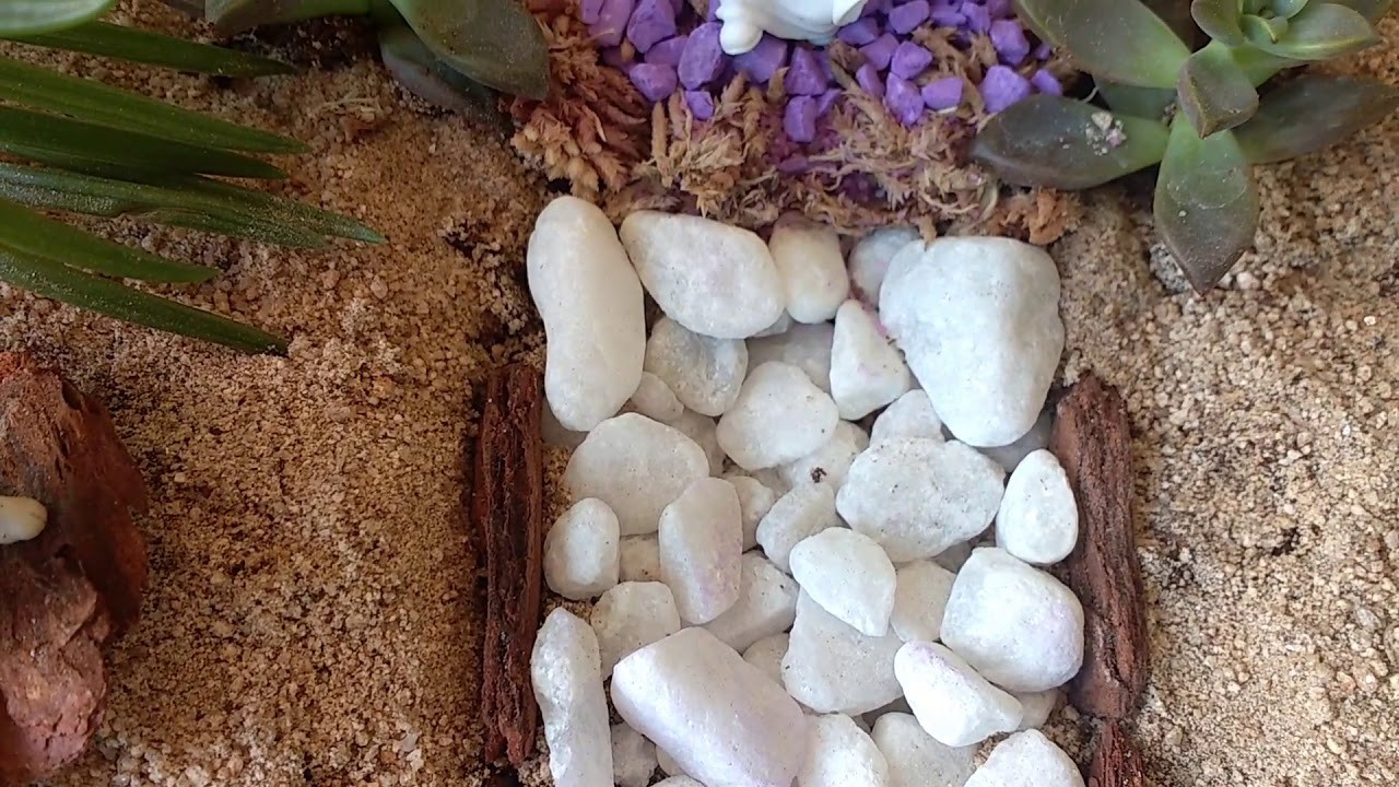 Terrário aberto: fruteira adaptada para decoração com suculentas