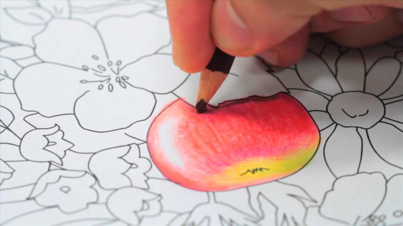 Passa o PAP | aprenda a pintar livros de colorir com Hélvio Mendonça