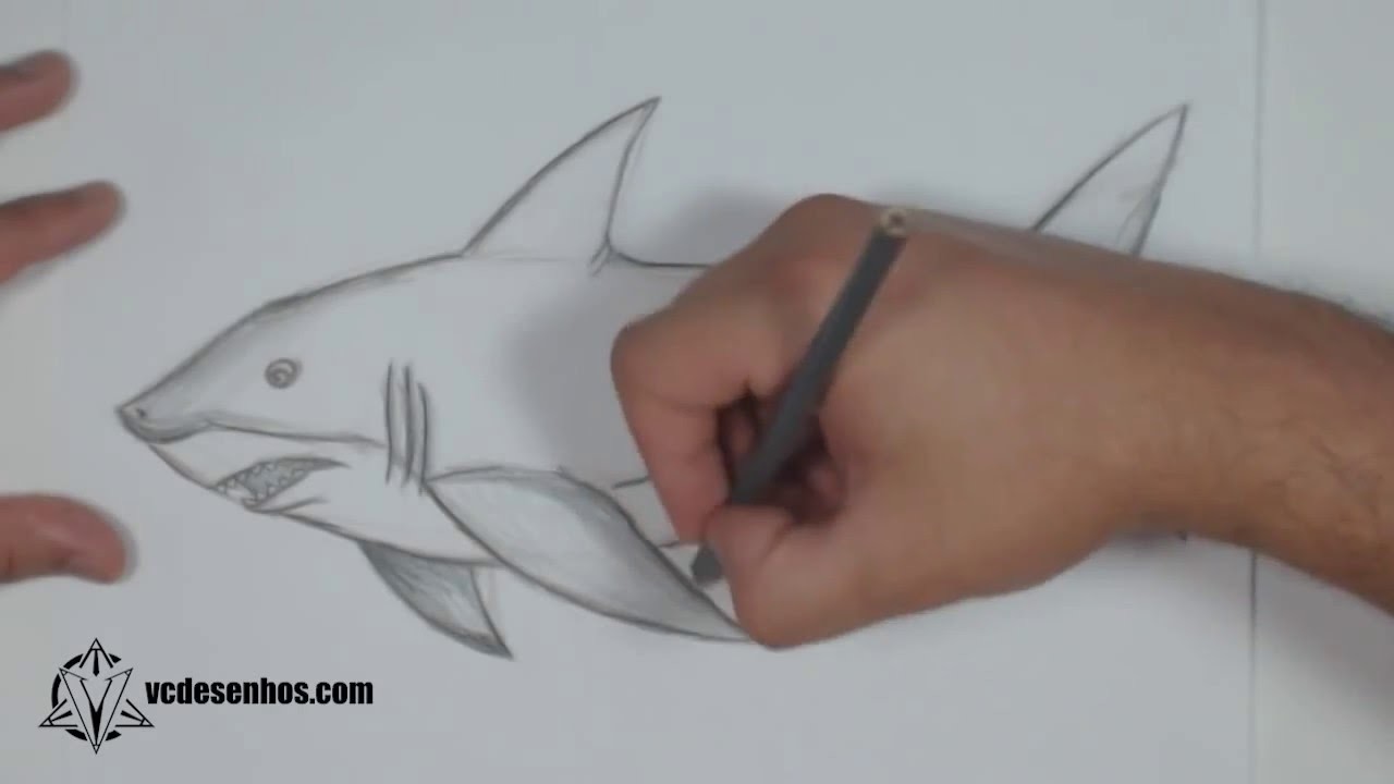 Como desenhar Tubarão Realista