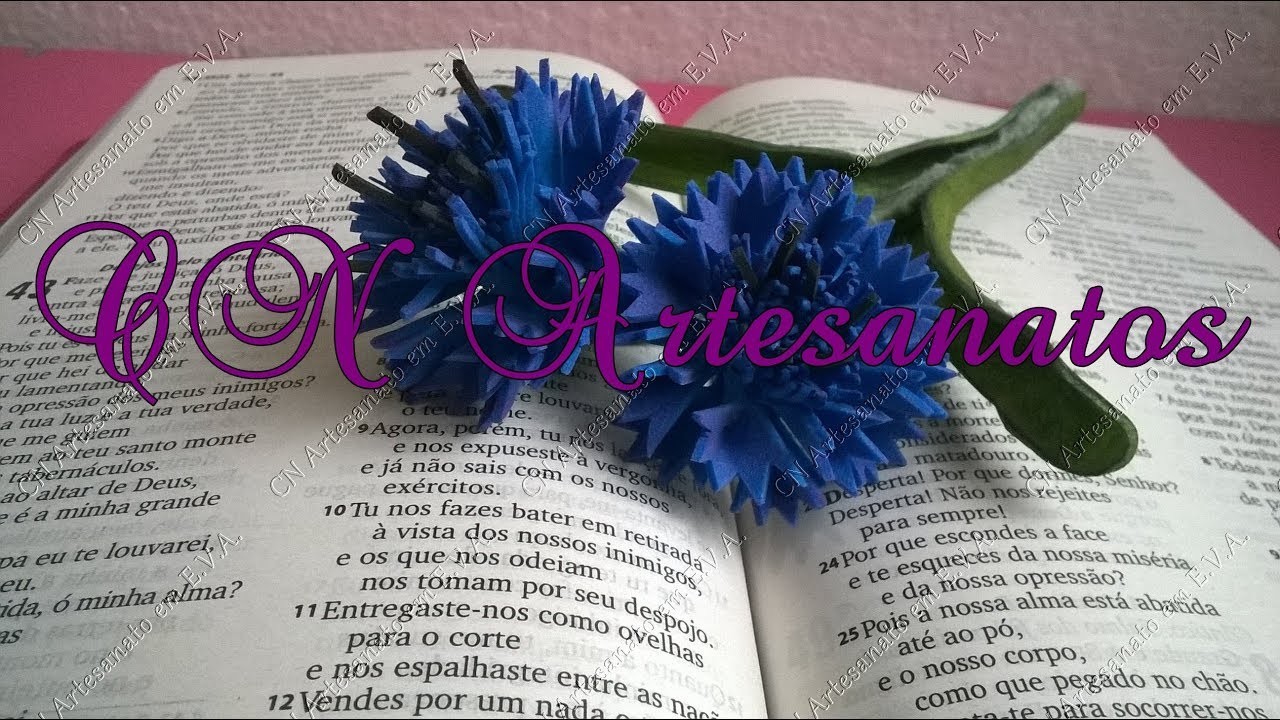 Flor azul Cornflower sem frisador: 2ª parte