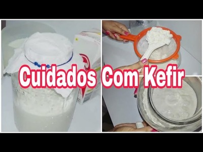 Como Cuido Do Kefir - Lactobacilos Vivos
