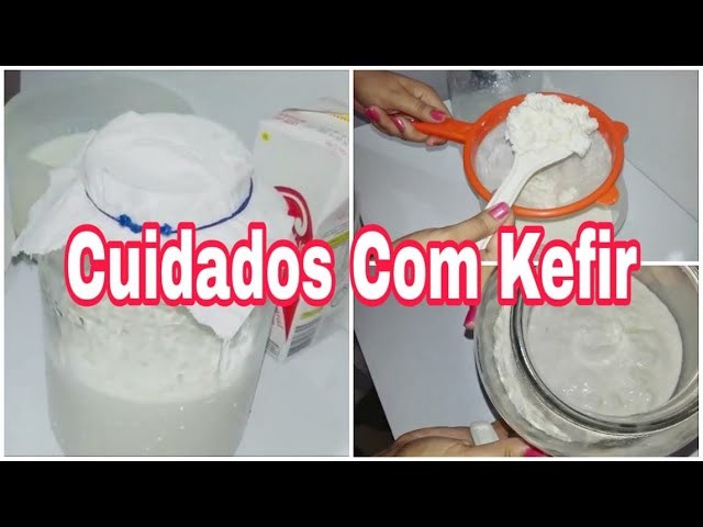Como Cuido Do Kefir - Lactobacilos Vivos
