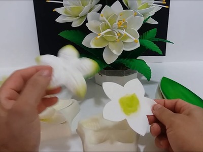 FLOR ESTRELA SHOW