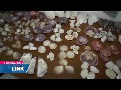 Artesanato com conchas sustenta família em Piúma