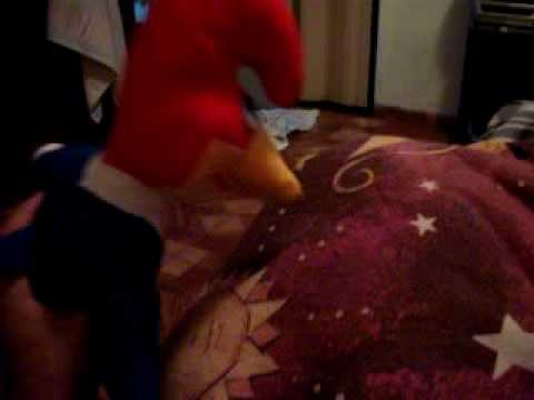 Imagem pica- pau maluco