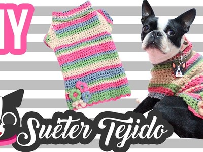 DIY l Suéter Tejido para perro