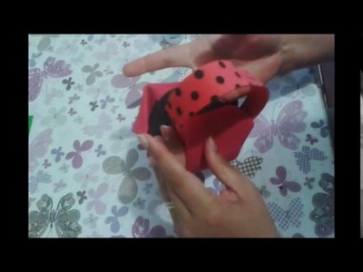 DUDA 4 ANOS #3 BOLSINHAS LADY BUG