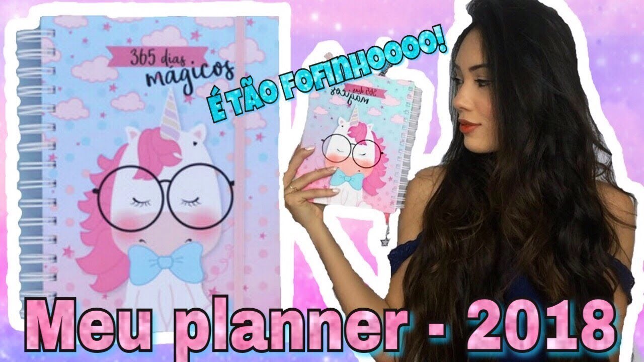 MEU PLANNER 2018 + COMO EU ME ORGANIZO