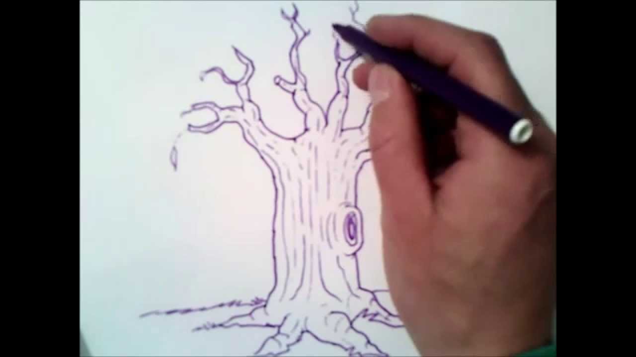 Como desenhar uma árvore sem folhas