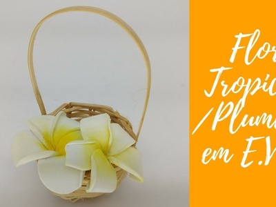 FLOR SCRAPBOOK| Flor de EVA│Flor Tropical (Jasmim.Plumeria) em E.V.A.