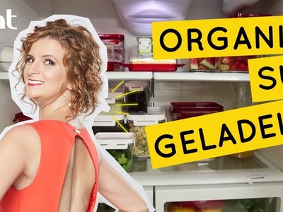Aprenda a organizar a geladeira | Dica de Organização | Micaela Góes