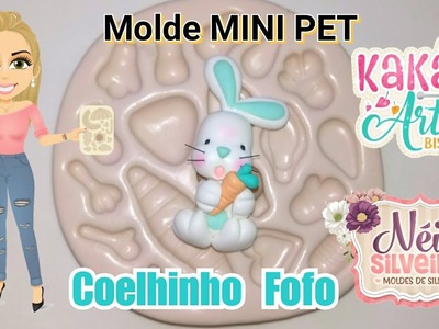 DIY Coelhinho no Molde Mini Pet - Molde Néia Silveira (cold porcelain)