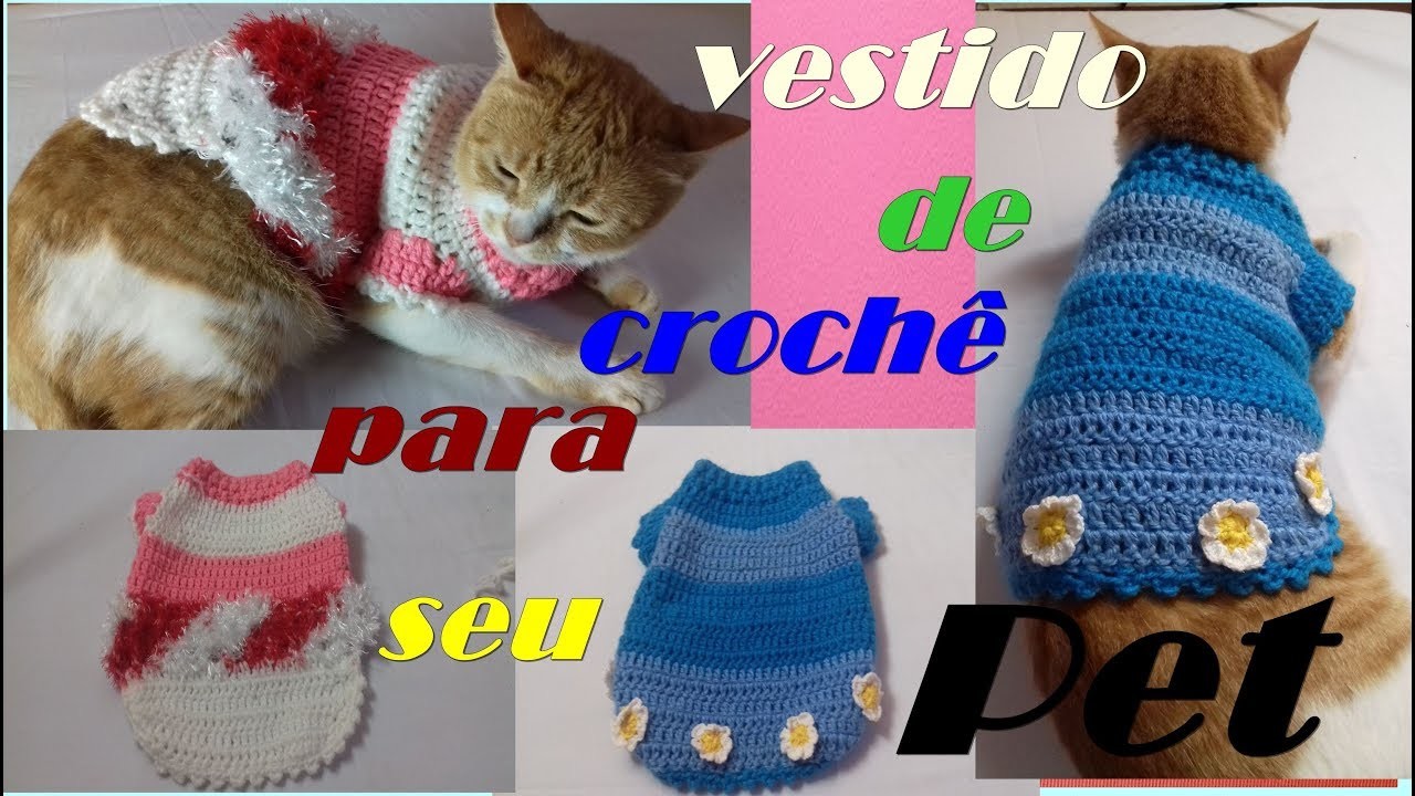 Diy: como fazer vestido de crochê para Pet (dog or cat)