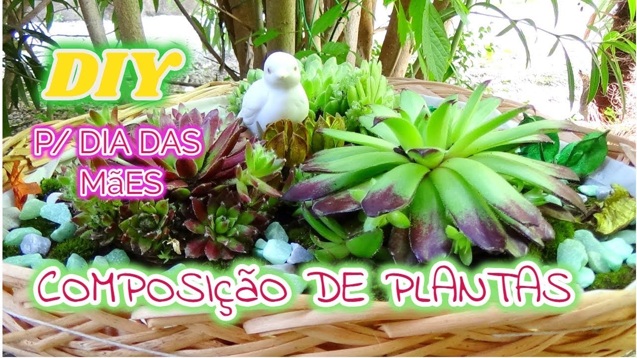 DIY:COMPOSIÇAO DE PLANTAS (E.OU FLORES) - IDEIA DE PRESENTE P.TODAS OCASIÕES