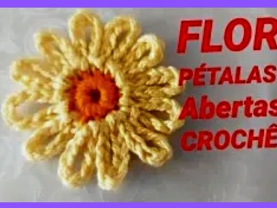 Veja como fazer flor de croche com pétalas de correntes, muito fácil . tutorial Marly thibes