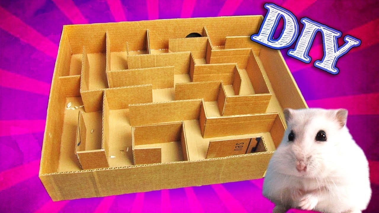 Como fazer um Labirinto para Hamster