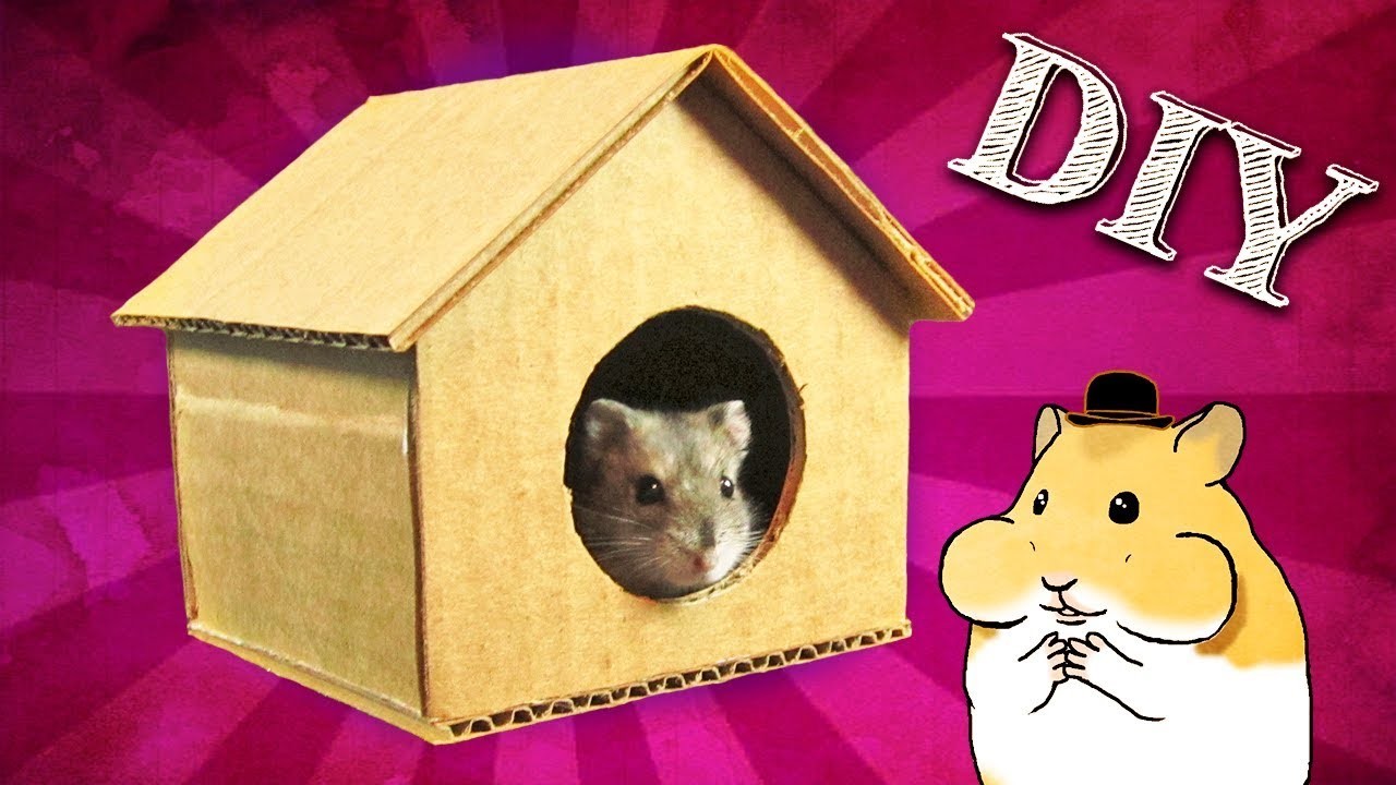 Como Fazer uma  Casinha de Papelão para Hamster  |  Casinha para Hamster 9