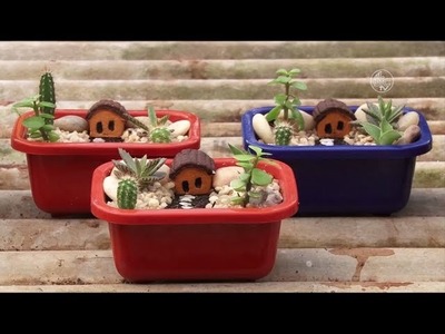 Orquidário produz minijardins para decoração