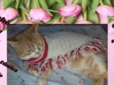 Diy: como fazer vestido.túnica de crochê para Pet (cat or dog)
