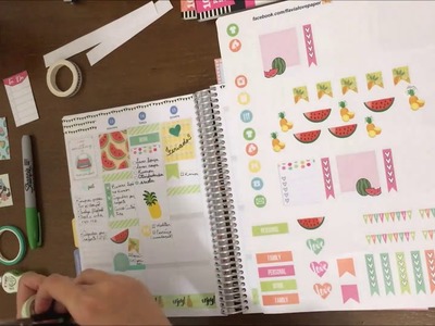 Plan With Me - My Planner Colibri