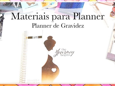 Review do Planner espiral para gravidez Recollection