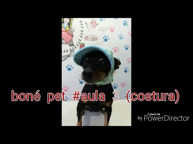 Boné dupla face para pets #aula3 (costura)