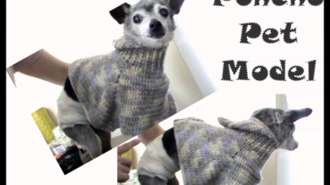 Poncho Pet Model - Professora Ivy (Crochê Tricô) - Versão Destras
