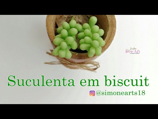 Diy :Suculenta em biscuit 02