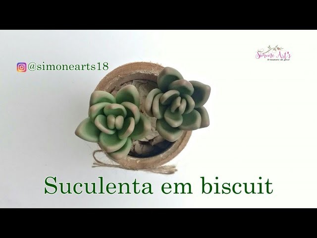 Diy :Suculenta em biscuit 03