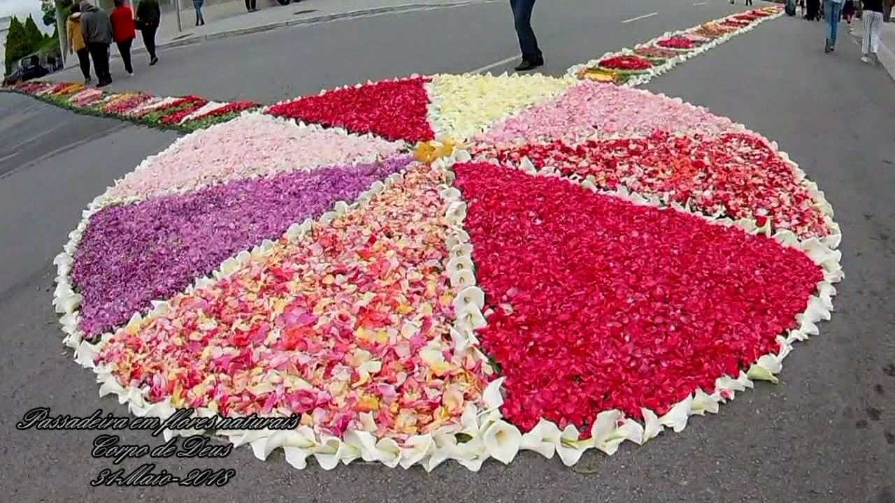 Passadeira em flores naturais em Castelo de Paiva na festa Corpo de Deus