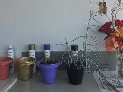 Vasos x Cachepos #economia #decoração