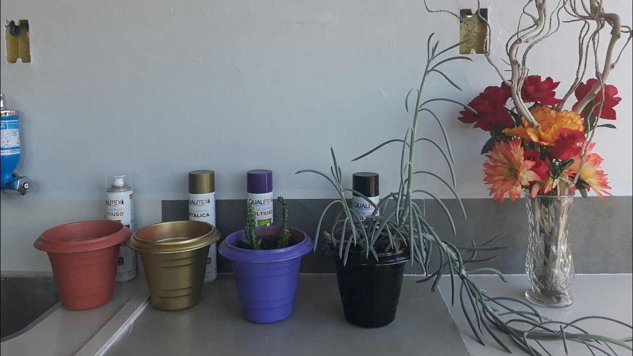 Vasos x Cachepos #economia #decoração