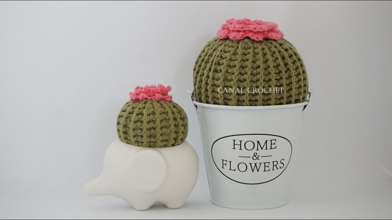 Cactus en punto relieve a crochet