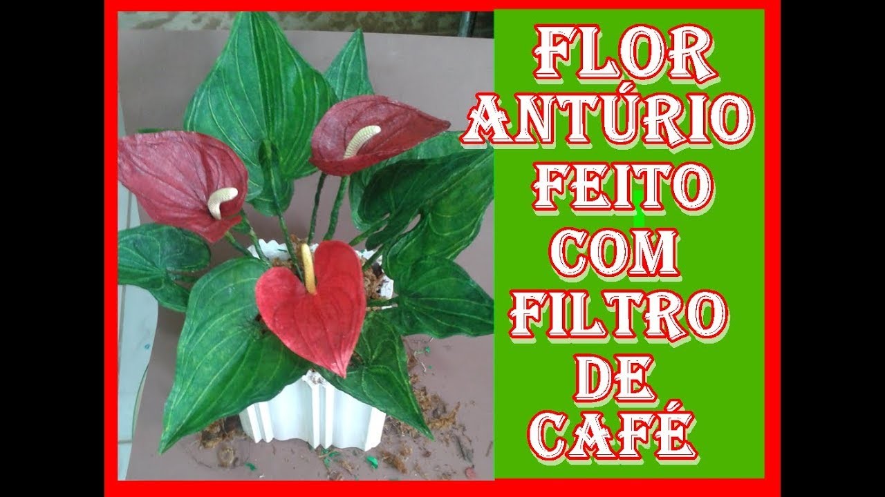 Flores feito com filtro de cafe- anturio
