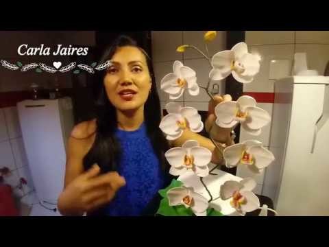 Orquídea sem frisador - Parte 1