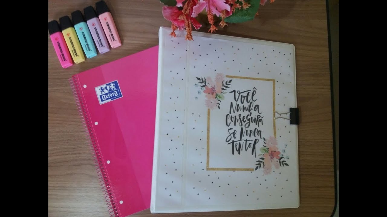 Como eu organizo meu Fichário + Dicas
